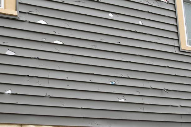 Best Hoarding Cleanup  in Arnold, MO